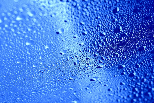 What actually comes out in sweat?