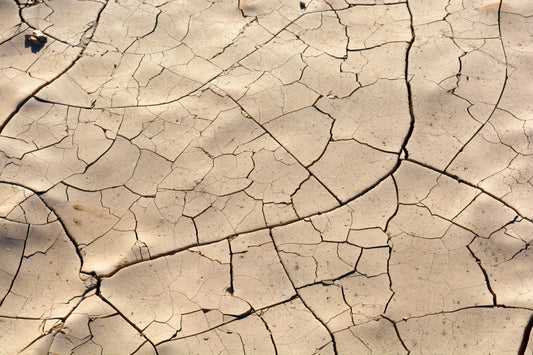 Signs You're Dehydrated (Beyond Just Feeling Thirsty)
